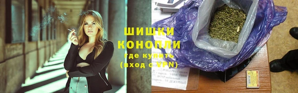 индика Новодвинск