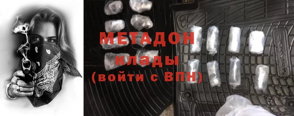индика Новодвинск