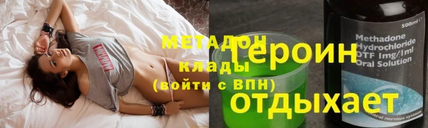индика Новодвинск