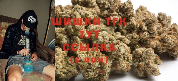 индика Новодвинск