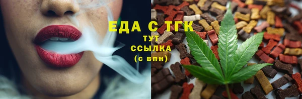 индика Новодвинск