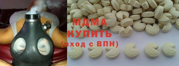 индика Новодвинск