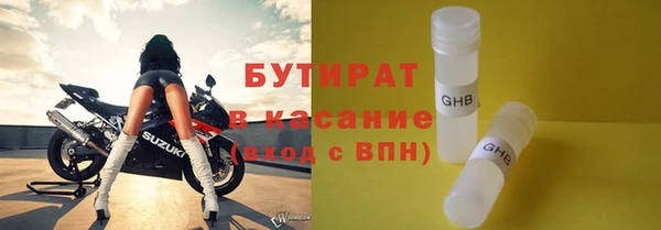 индика Новодвинск