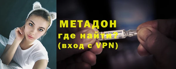 индика Новодвинск