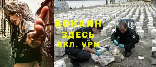 Альфа ПВП Новозыбков