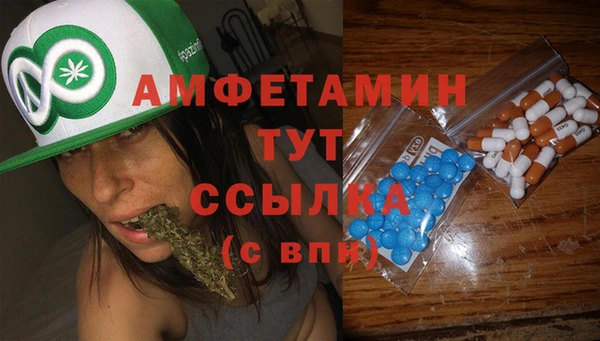 индика Новодвинск