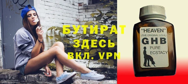 индика Новодвинск