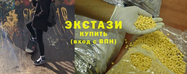 индика Новодвинск