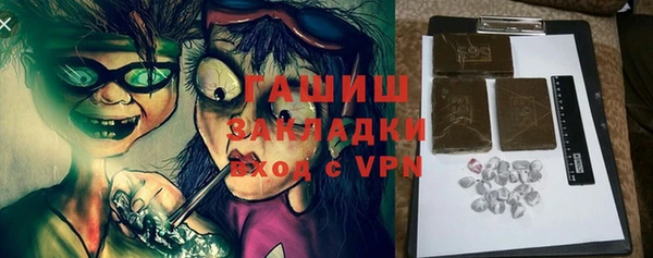 индика Новодвинск