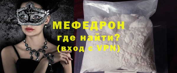 индика Новодвинск