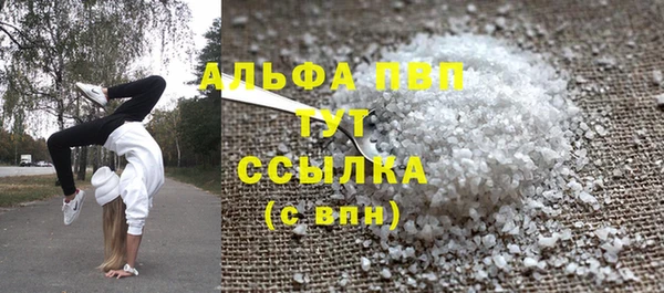 Альфа ПВП Новозыбков